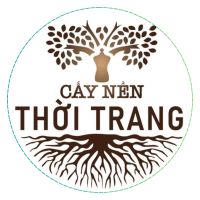 Cấy Nền Thời Trang là một cộng đồng thời trang tập hợp nhiều thương hiệu thời trang Việt Nam.